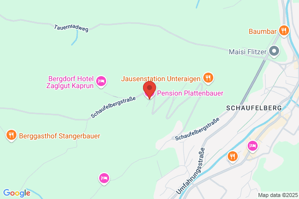 Pension Plattenbauer
