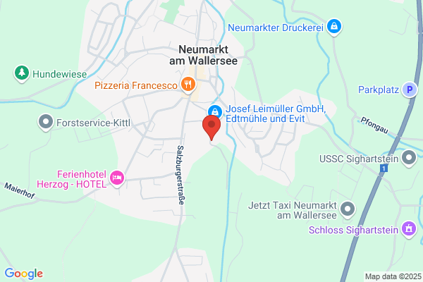 Noriker Reitergruppe Piesendorf