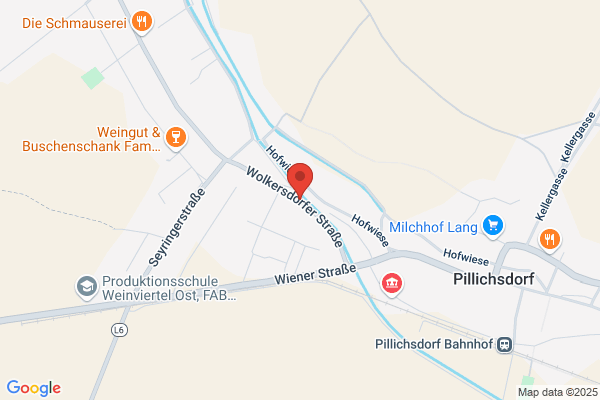 Walter Dulovits