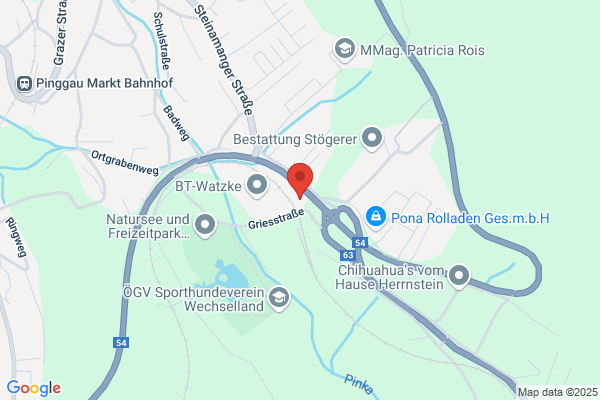 Freiwillige Feuerwehr