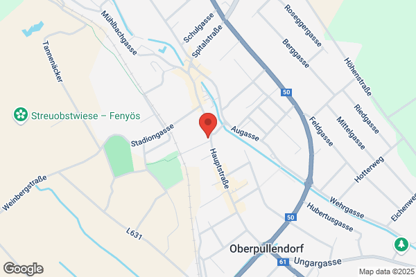 Raiffeisenbezirksbank Ober- pullendorf reg.Gen.mbH