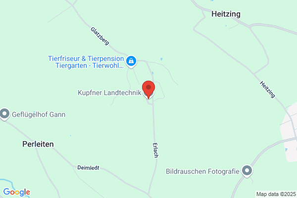 Hans Forsterpointner