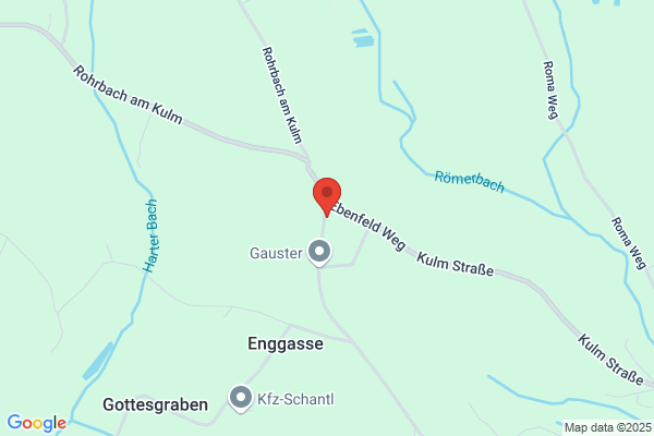 Ebner-Pieber-Fasch OEG