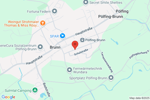 SPOe Poelfing-Brunn