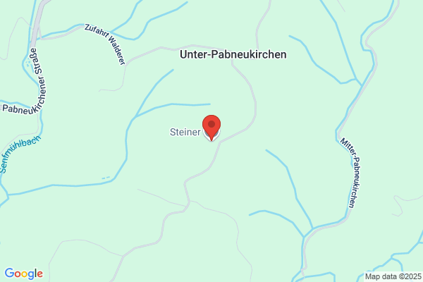 Johann Steiner