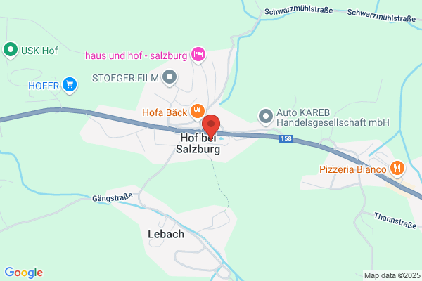 Expert Stadler