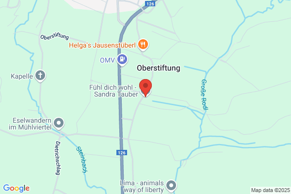 Petra Bloechl OEG