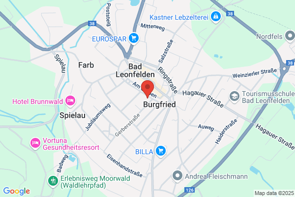 Traxlmayr Heinz MedR Dr