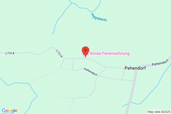 Fuerst Hans