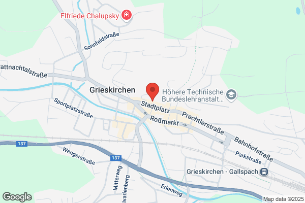 Burgholzer GmbH