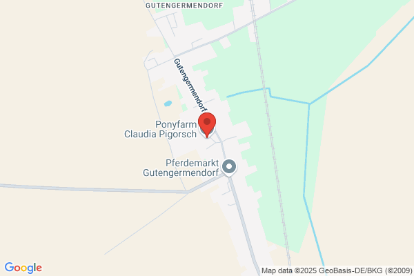 Claudia Hofinger
