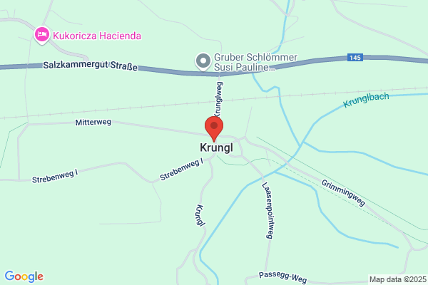 Heinrich Kanzler