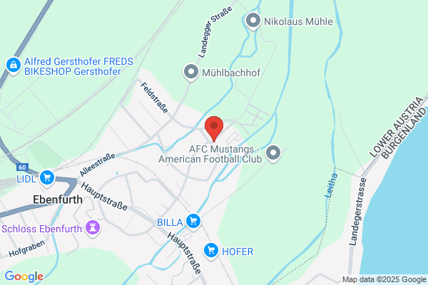 Tierheim Haus der Barmherzigkeit fuer herrenlose Tiere