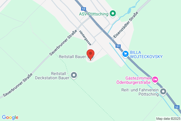 Reitstall-Deckstation Bauer