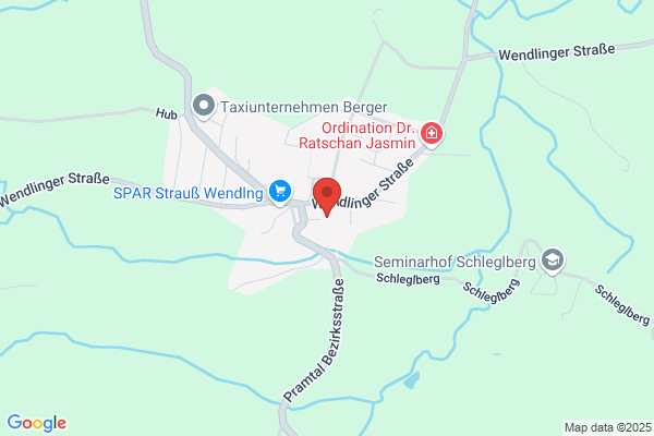 Demelwirt