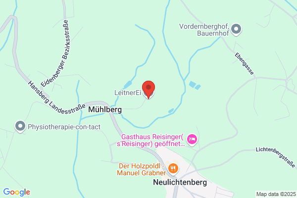 Leitner und Leitner OEG