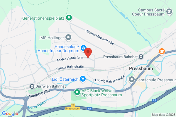 Allg Sportverein Pressbaum