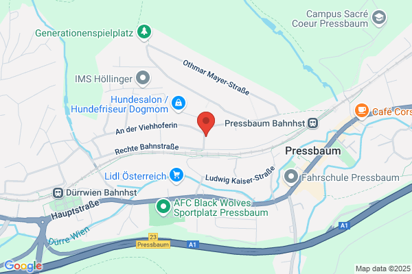 Der Orgelbau im Wienerwald - Robert Niemeczek