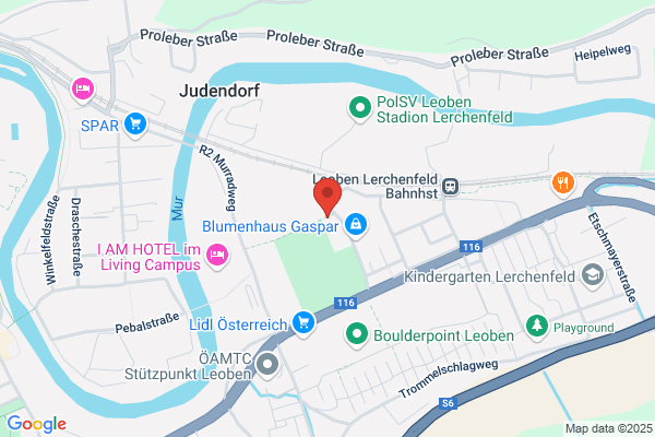 Bestattung Leoben