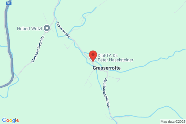 Haselsteiner Peter Dipl-TA Dr