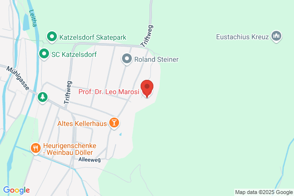 Marosi Leo Prim Prof Dr