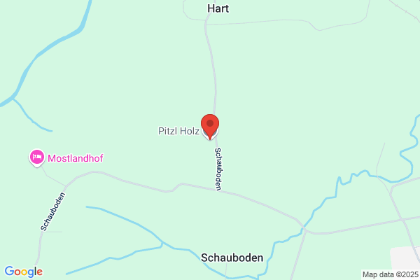 Pitzl Holz KG