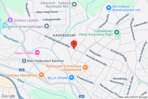 Pension Anzengruber - Zimmer und Apartments