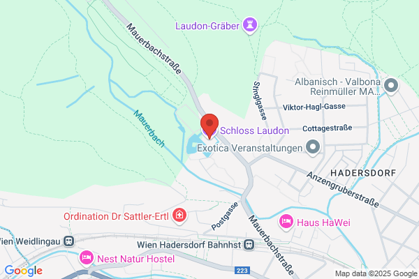Schloss Stube Laudon