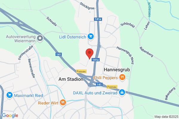 Suess Georg