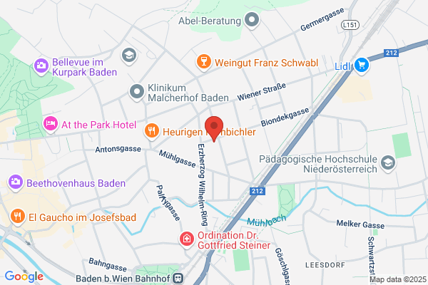 Bubla M Mag und Dr F Bubla Wirtschaftstreuhand KEG