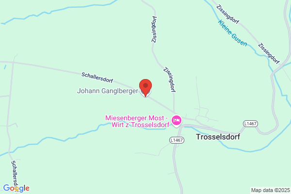 Johann Ganglmair