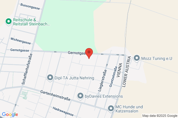 Leckortung-Wien