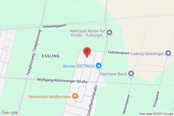 Franz Rolf Schmidt Gesellschaft m.b.H.