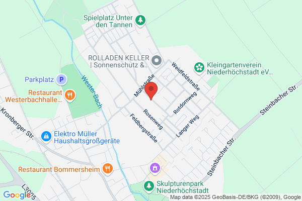 Ing. Meinhard Eschig