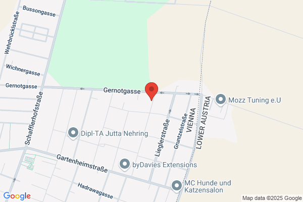 Innenausbau Molnar Walter