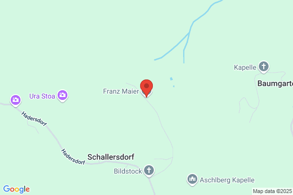 Mayer Franz