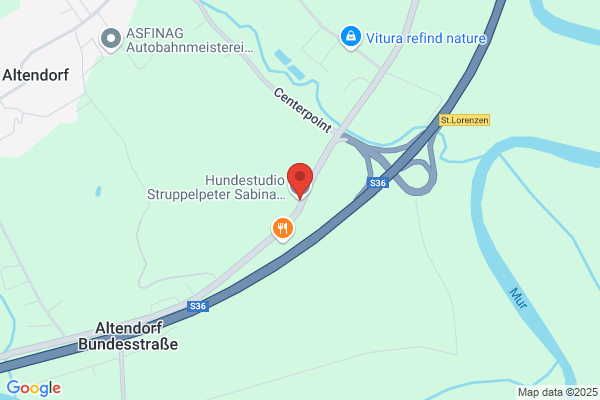 Hundestudio Struppelpeter - Sabina Genewein