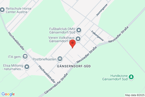 LS Wirtschaftstreuhand Ges.mbH