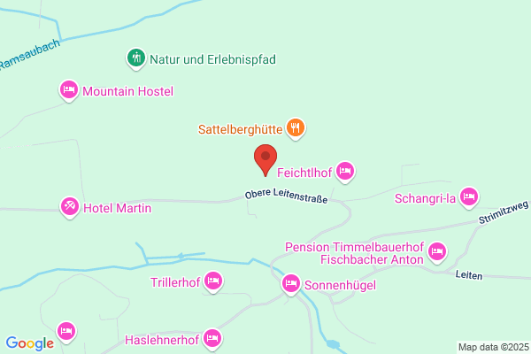 Wintersportverein Ramsau am Dachstein Helmut Schrempf