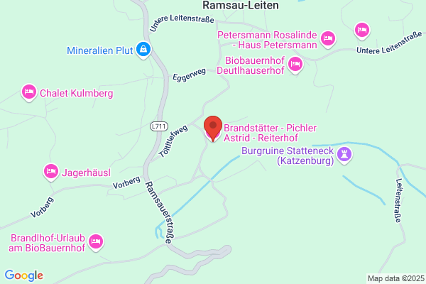 Brandstätter-Pichler Astrid - Reiterhof