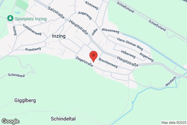 Betriebswirtschaft u Informationstechnologie- Dr Gerhard A Kainz KEG