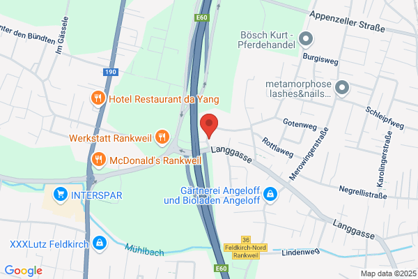 Vogrin Datenprojektion