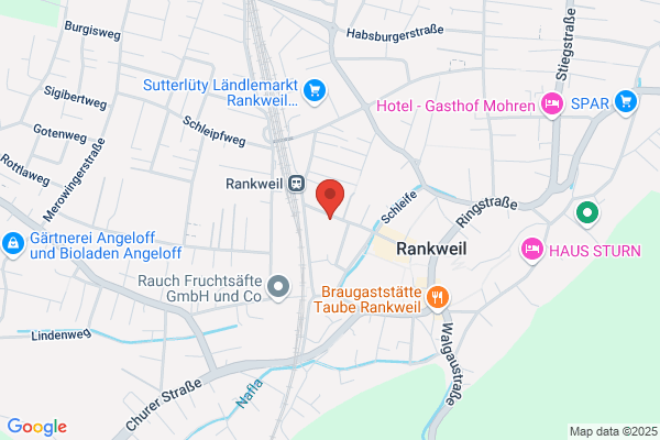 Ammann Manfre1 Dr