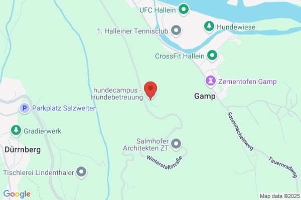 MHT hundeuni