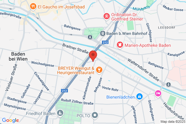 Franz Schubert Institut