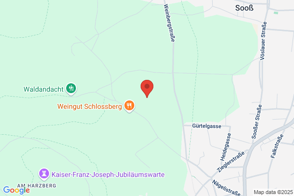 Friedrich Schachner Ges.mbH