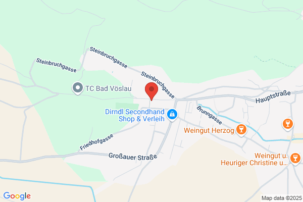 Fürst GesmbH