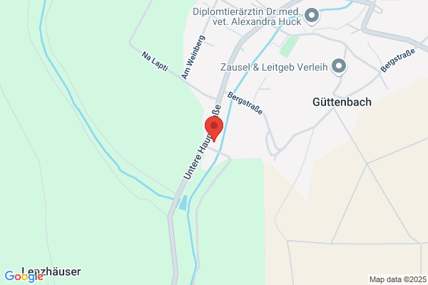ASV Guettenbach