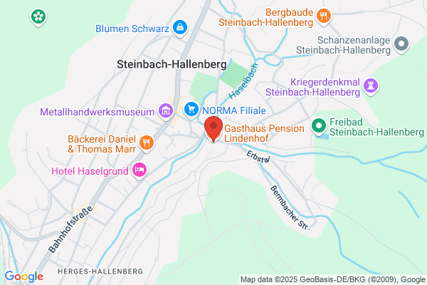 Hotel-Pension Lindenhof