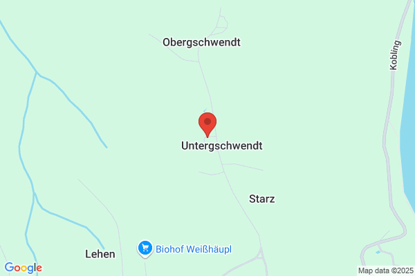 Mietwagen - Wilhelm-Danner